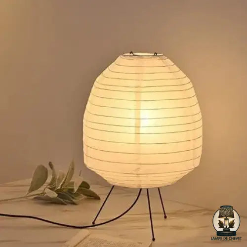 Etokuso Japanese Washi Table Lamp | Buy One, Get One Free
