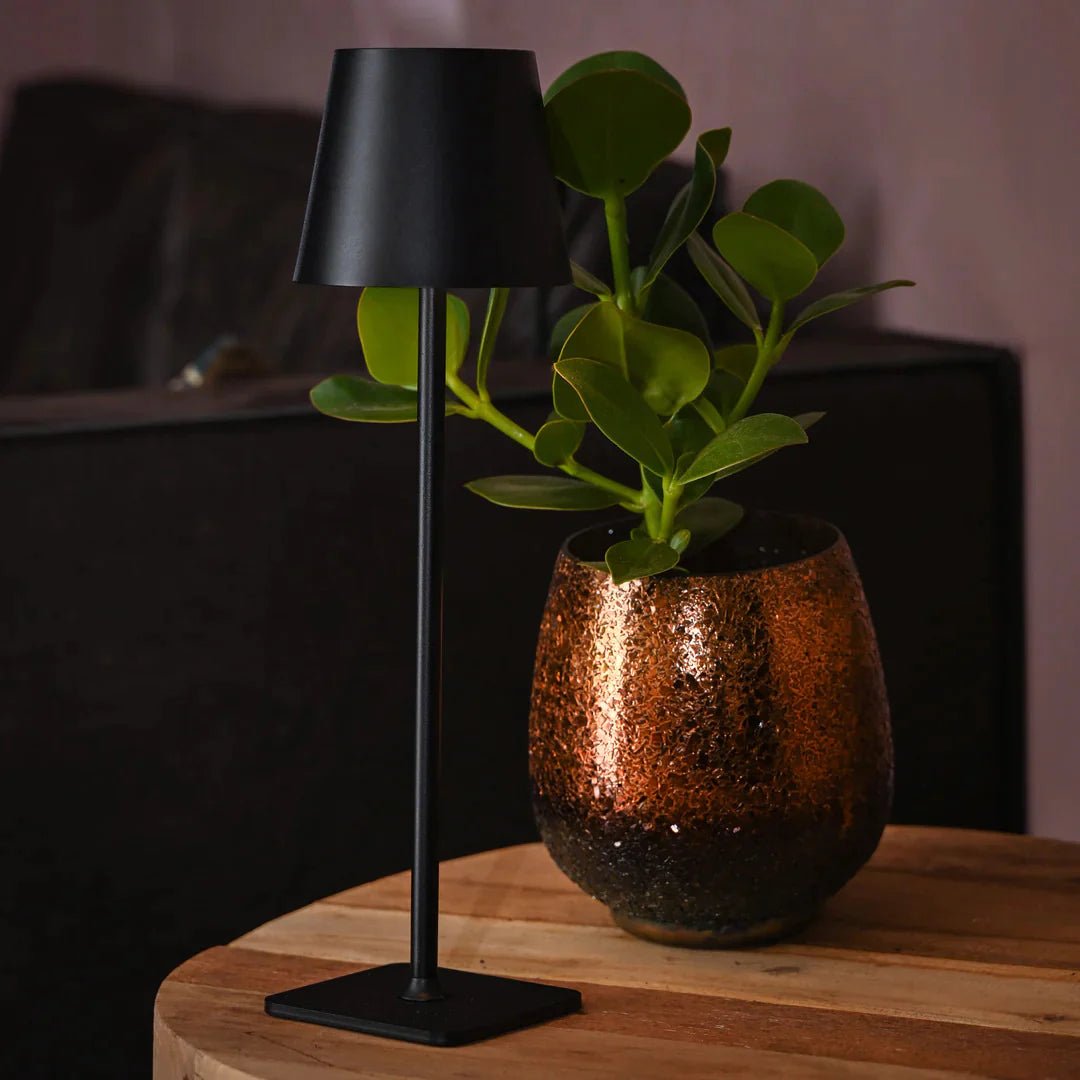 Fendry Table Lamp - Buy One, Get One Free!